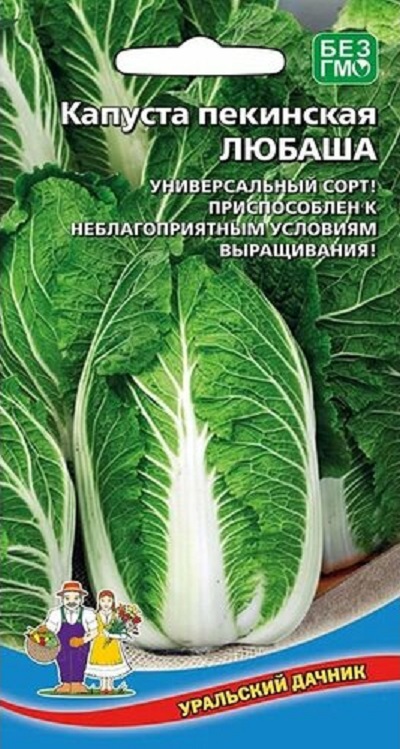 Капуста пекинская Любаша (УД) 0,25 гр цв.п. АгроСемФонд