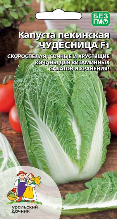 Капуста пекинская Чудесница F1 (УД) 0,1 гр цв.п. АгроСемФонд