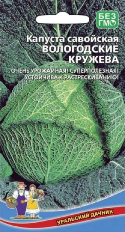 Капуста савойская Вологодские кружева (УД) 0,25 гр. цв.п. АгроСемФонд