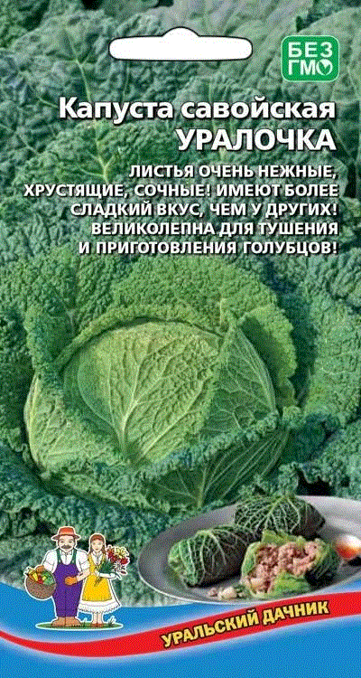 Капуста савойская Уралочка (УД) 0,25 гр цв.п. АгроСемФонд