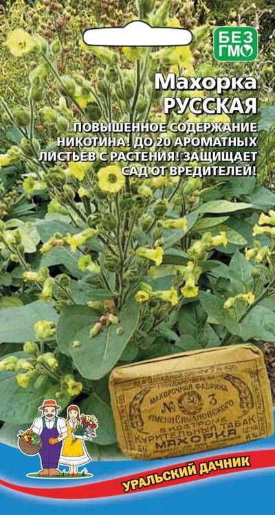 Махорка Русская (УД) цв.п 0,05 гр АгроСемФонд