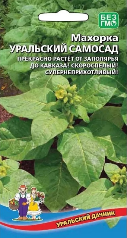Махорка Уральский Самосад (УД) цв.п 0,05 гр АгроСемФонд