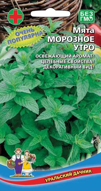 Мята Морозное утро (УД) 0,05 гр цв п АгроСемФонд