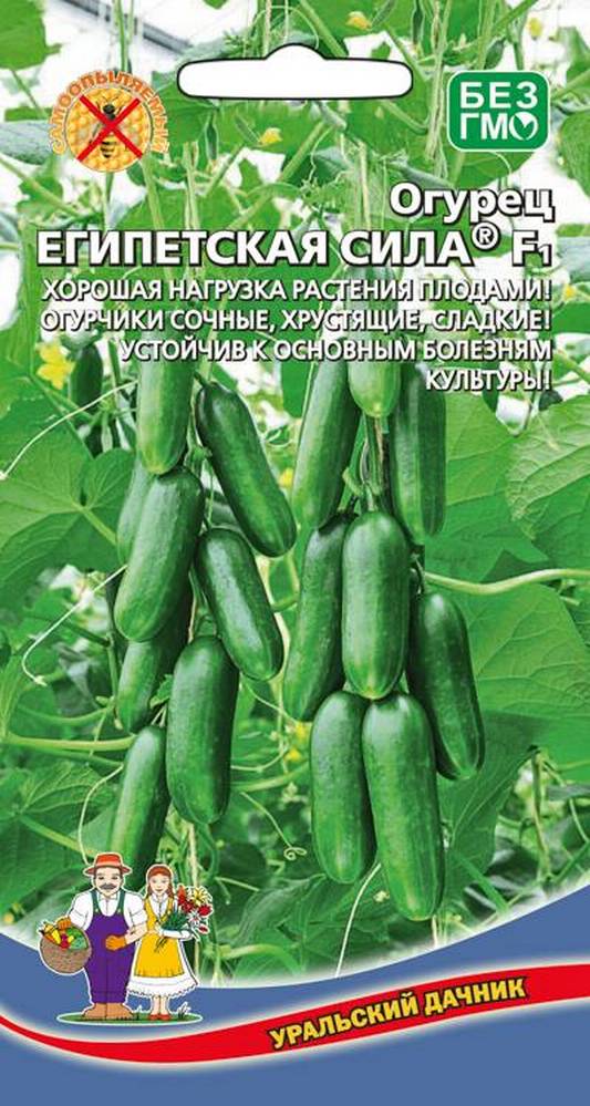 Огурец Египетская сила (УД) 10 шт цв п АгроСемФонд