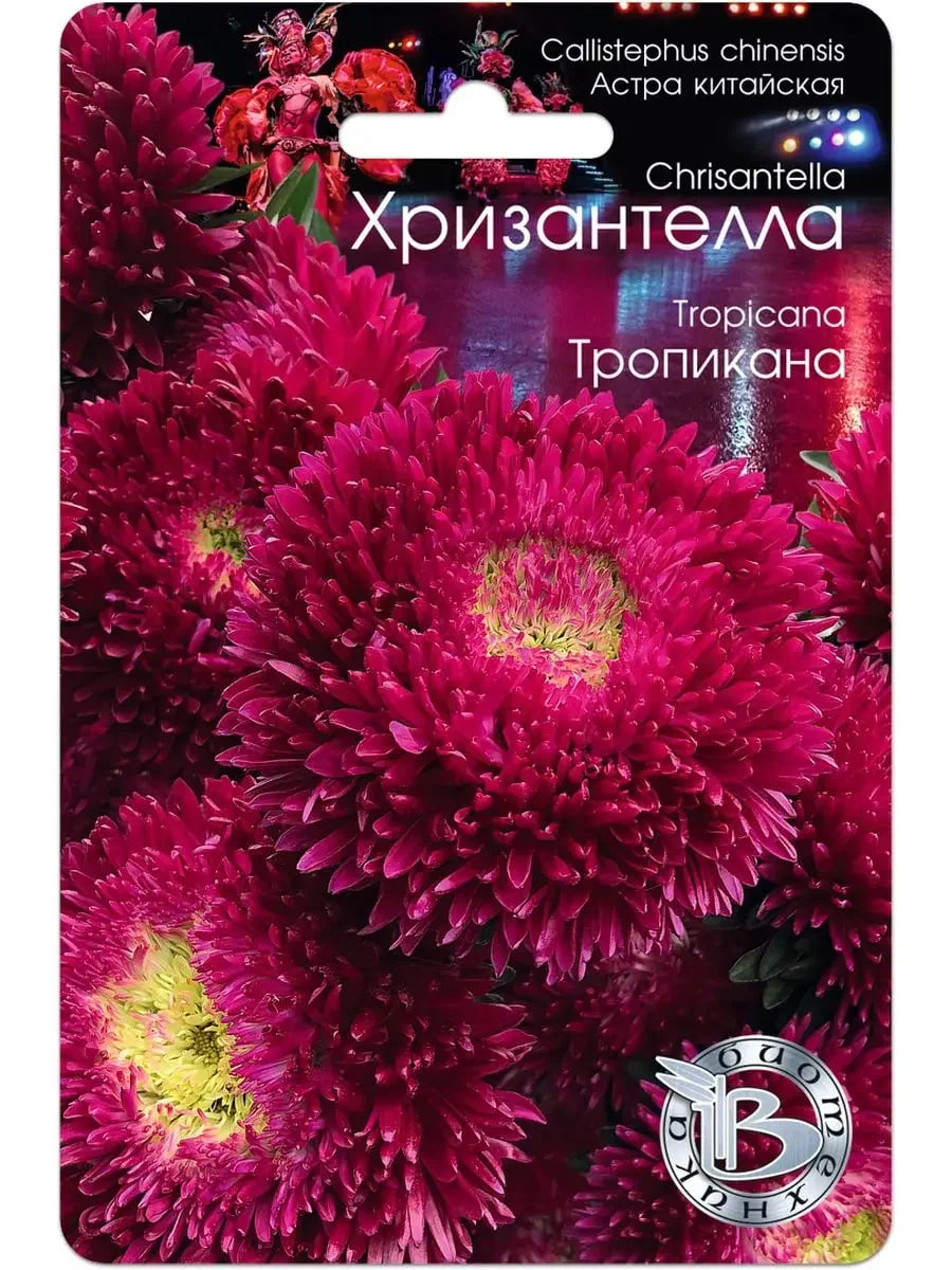 Астра Хризантелла Тропикана 30 шт АгроСемФонд