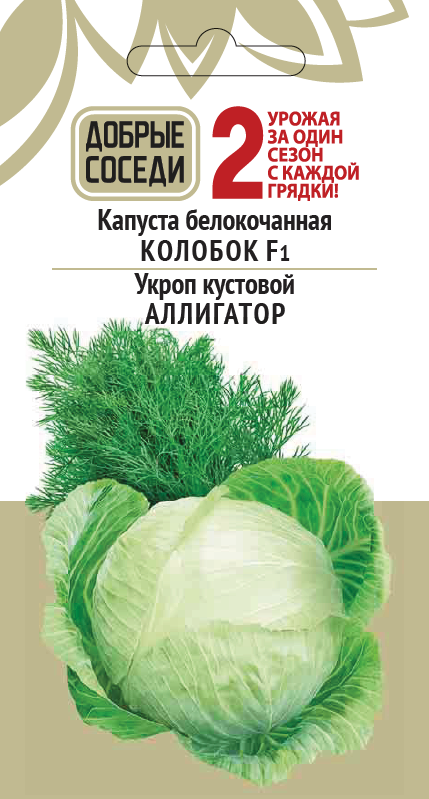 Капуста белокочанная КОЛОБОК F1 и Укроп кустовой АЛЛИГАТОР АгроСемФонд
