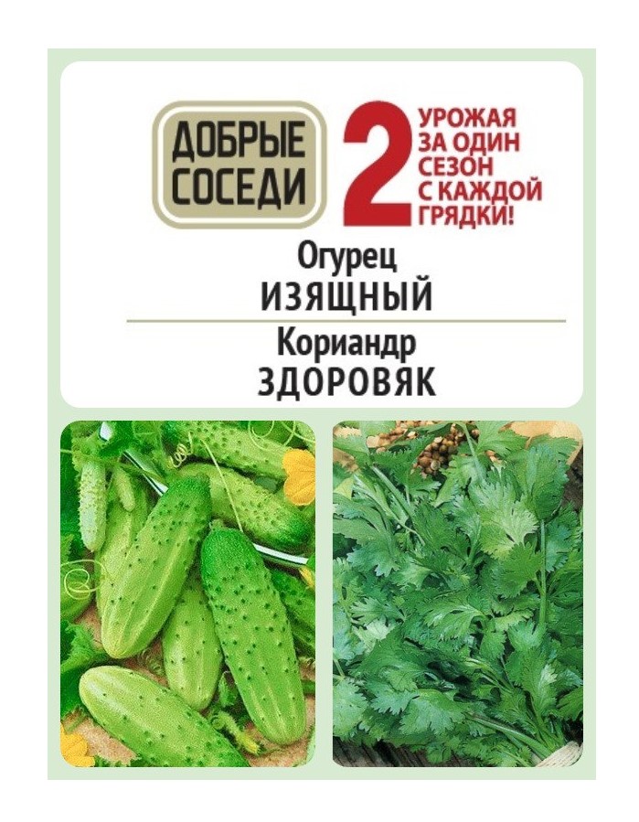 Огурец ИЗЯЩНЫЙ и Кориандр ЗДОРОВЯК АгроСемФонд