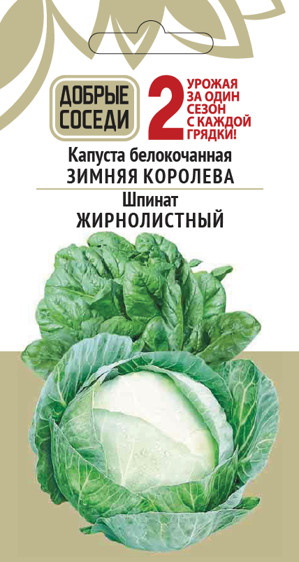Капуста белокочанная ЗИМНЯЯ КОРОЛЕВА и Шпинат ЖИРНОЛИСТНЫЙ АгроСемФонд