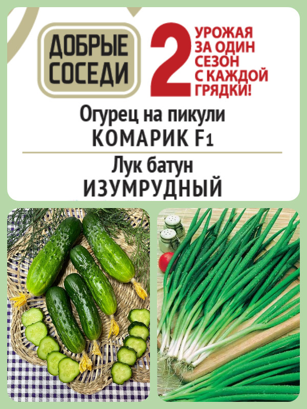 Огурец на пикули КОМАРИК F1 и Лук батун ИЗУМРУДНЫЙ АгроСемФонд