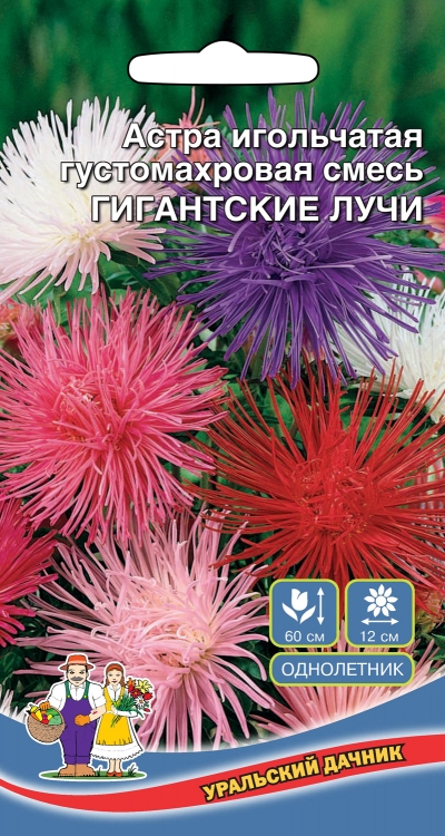 Астра игольчатая Гигантские лучи (УД) 0,25 гр цв п АгроСемФонд