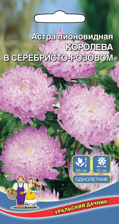 Астра пионовидная Королева гигантов в серебристо-розовом (УД) 0,2 гр цв п АгроСемФонд