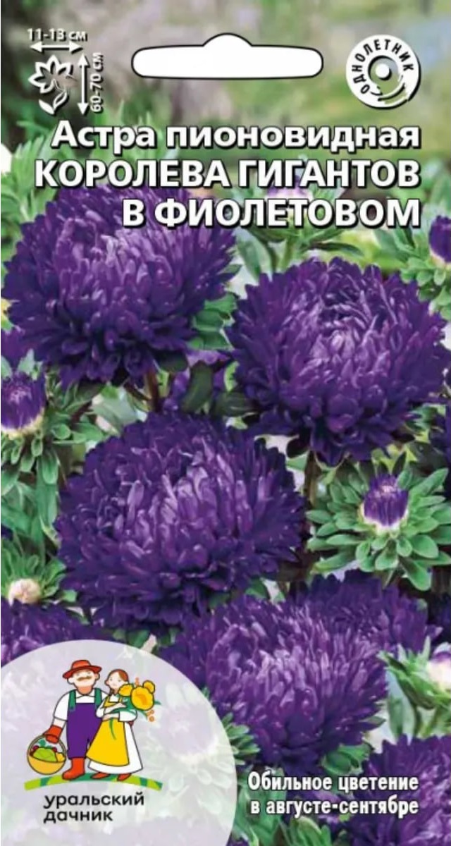 Астра пионовидная Королева гигантов в фиолетовом (УД) 0,2 гр цв п АгроСемФонд