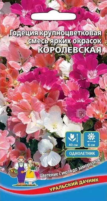 Годеция Королевская-крупноцветковая смесь ярких окрасок (УД) 0,1 гр цв п АгроСемФонд