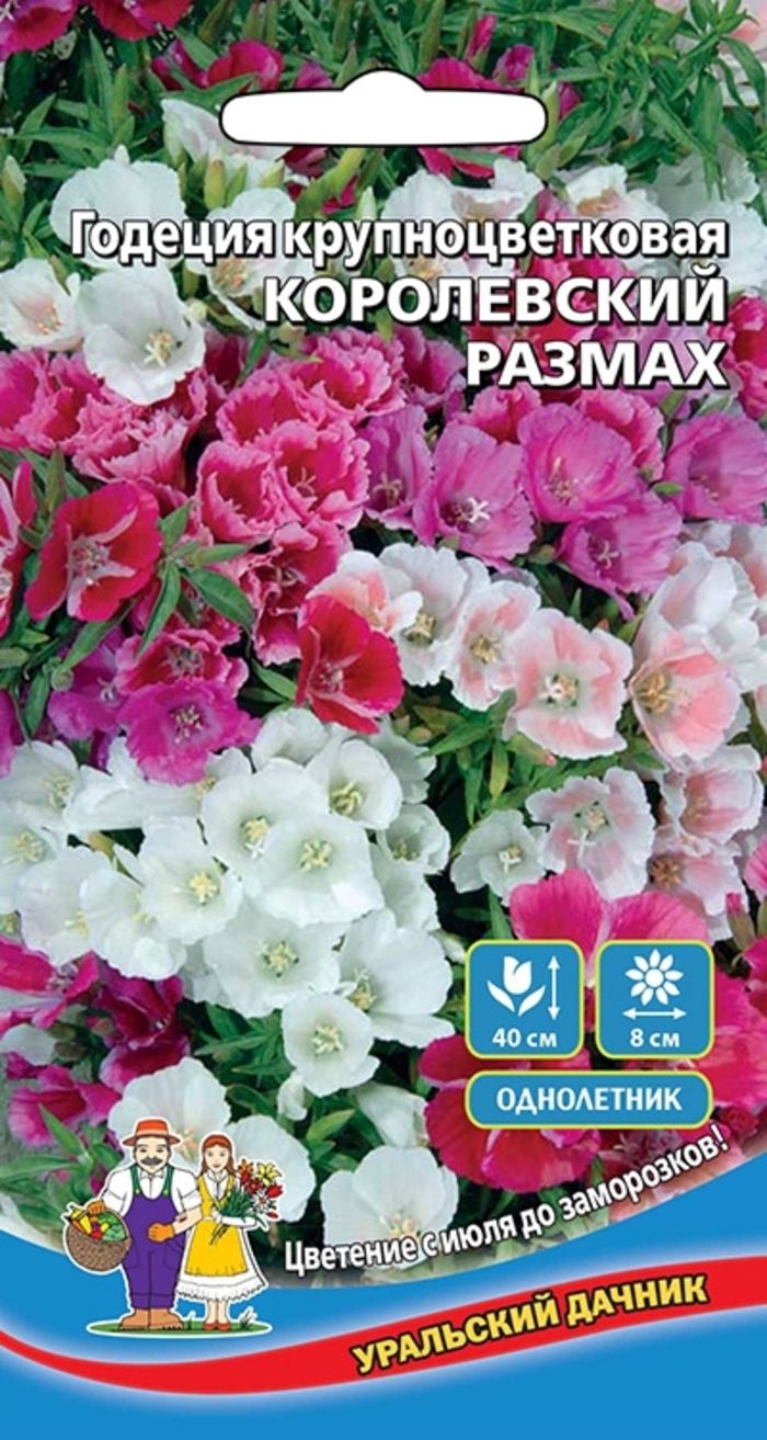 Годеция Королевский размах - крупноцветковая (УД) 0,1 гр цв п АгроСемФонд