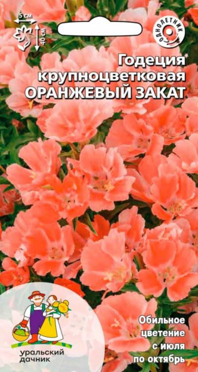 Годеция крупноцветковая Оранжевый закат (УД) 0,1 гр цв п АгроСемФонд