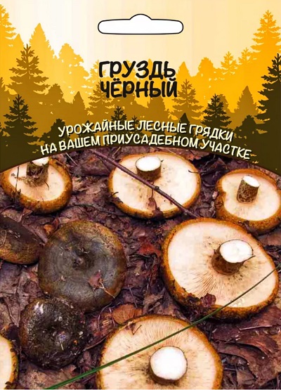 Грибы Груздь Чёрный (УД) 30 мл/15 гр цв.п АгроСемФонд