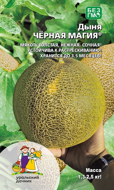 Дыня Чёрная магия (УД) 10 шт цв.п. АгроСемФонд