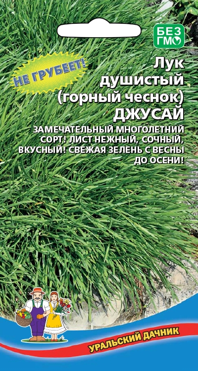 Лук душистый Джусай (горный чеснок) (УД) 0.25 г цв.п АгроСемФонд