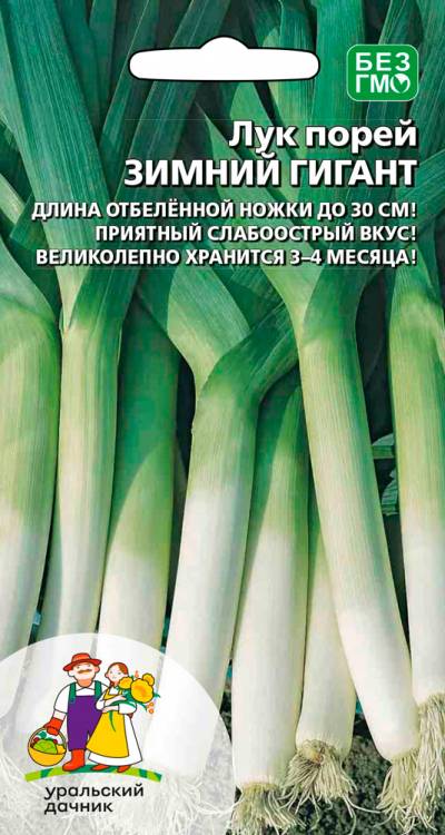 Лук порей Зимний гигант (УД) 0,25 гр. цв.п. АгроСемФонд