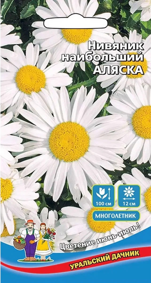 Нивяник наибольший Аляска (УД) 0,25 гр цв п АгроСемФонд