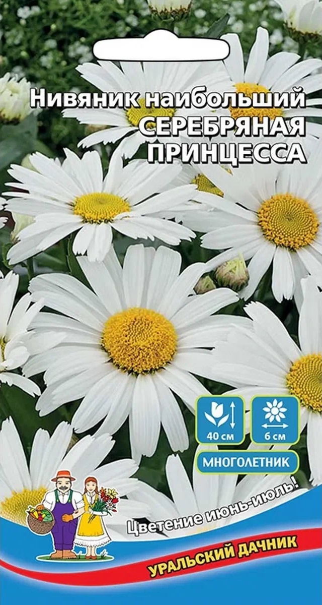 Нивяник наибольший Серебряная принцесса (УД) 0,15 гр цв п АгроСемФонд