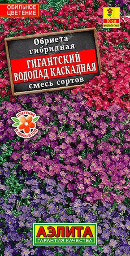 Обриета Гигантский водопад каскадная, смесь сортов (Аэлита) 0,05 гр цв п АгроСемФонд