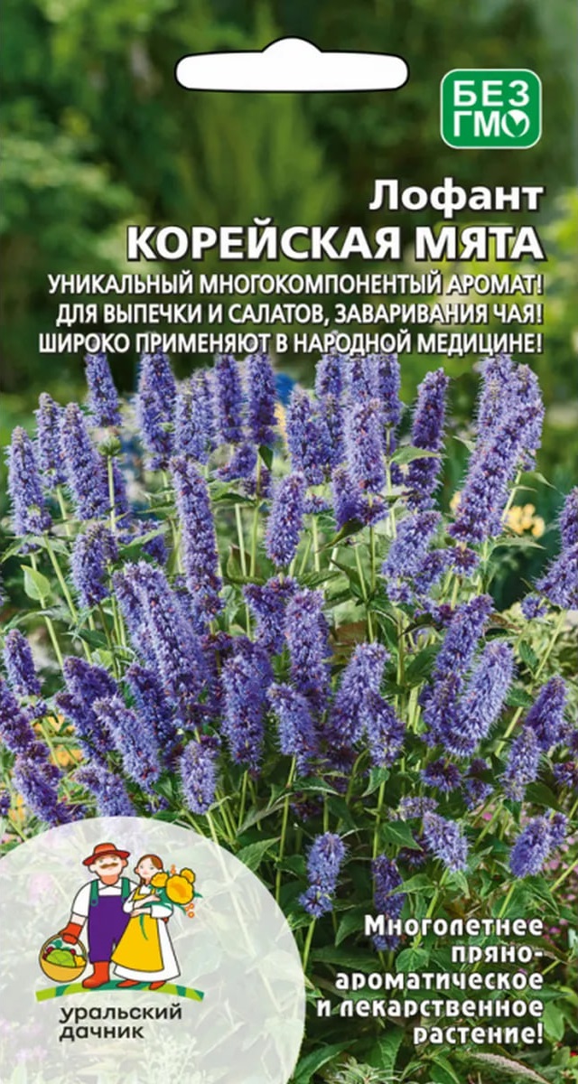 Лофант Корейская мята (УД) 0,1 гр цв п АгроСемФонд