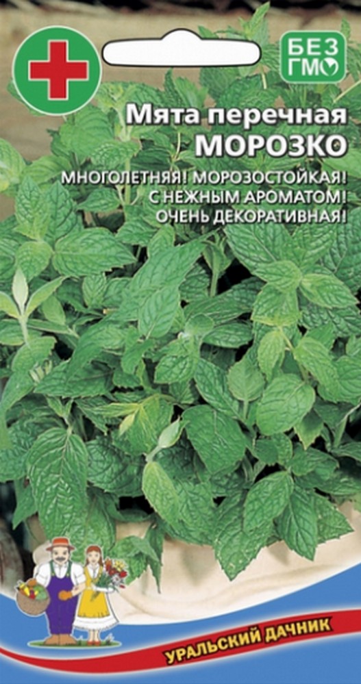 Мята Морозко - перечная (УД) 0,05 гр цв п АгроСемФонд