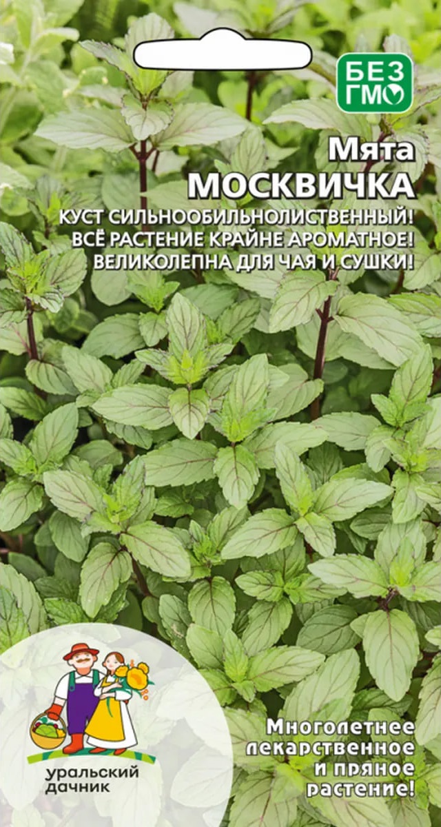 Мята Москвичка (УД) 0,03 гр цв п АгроСемФонд