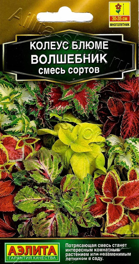 Колеус блюме Волшебник, смесь сортов (Аэлита) 5 шт АгроСемФонд
