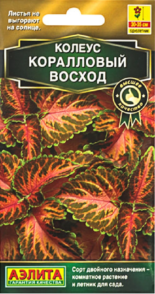 Колеус блюме Коралловый восход (Аэлита) 5 шт АгроСемФонд