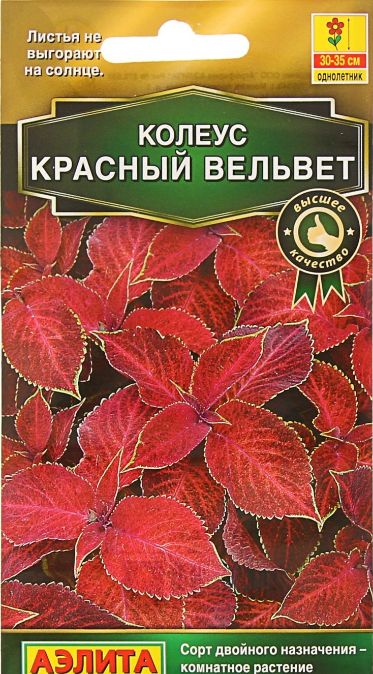 Колеус блюме Красный вельвет (Аэлита) 5 шт АгроСемФонд