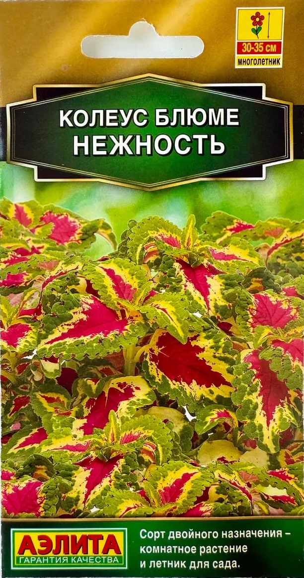 Колеус блюме Нежность (Аэлита) 5 шт АгроСемФонд