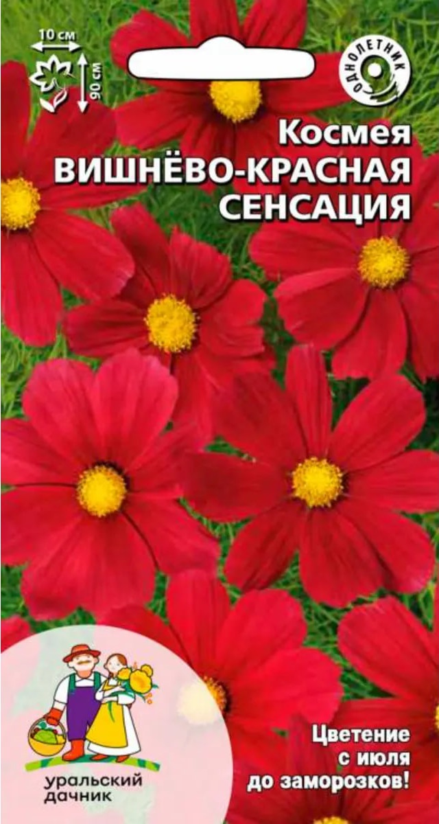 Космея Вишнево-красная сенсация (УД) 0,15 гр цв п АгроСемФонд