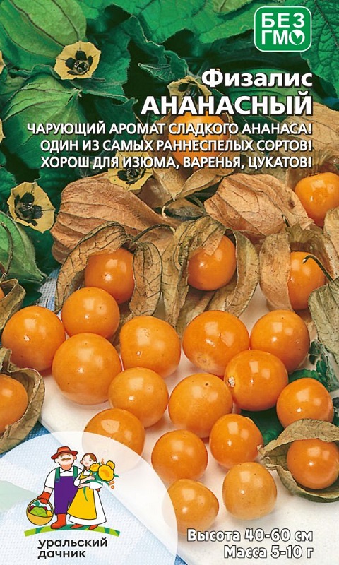 Физалис Ананасный (УД) 20 шт цв п АгроСемФонд