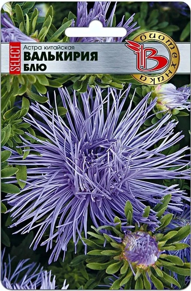 Астра Валькирия селект Блю 30 шт АгроСемФонд