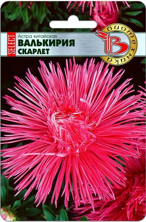 Астра Валькирия селект Скарлет 30 шт АгроСемФонд