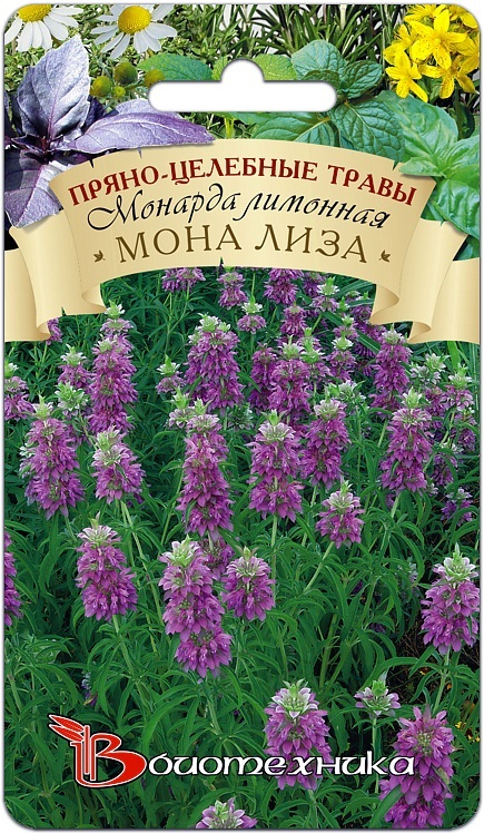Монарда лимонная Мона Лиза 0,1 г АгроСемФонд