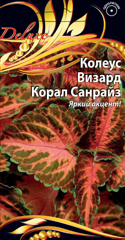 Колеус Визард Корал Санрайз 5 шт АгроСемФонд