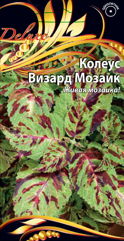 Колеус Визард Мозаик 5 шт АгроСемФонд