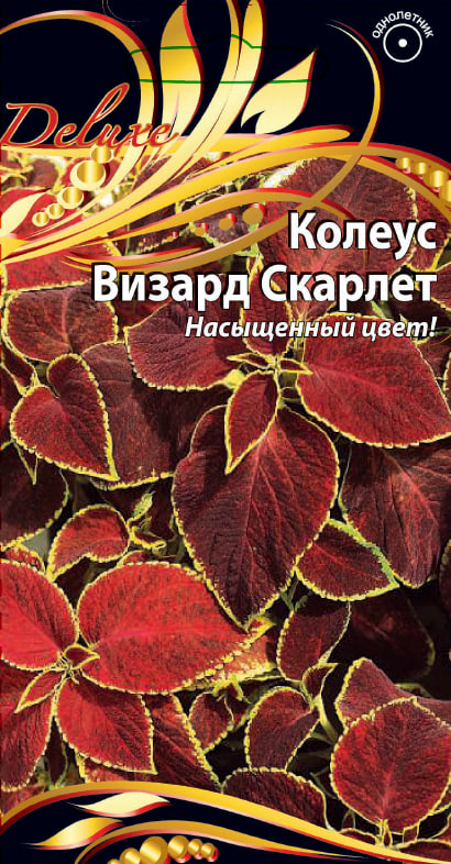 Колеус Визард Скарлет 5 шт АгроСемФонд