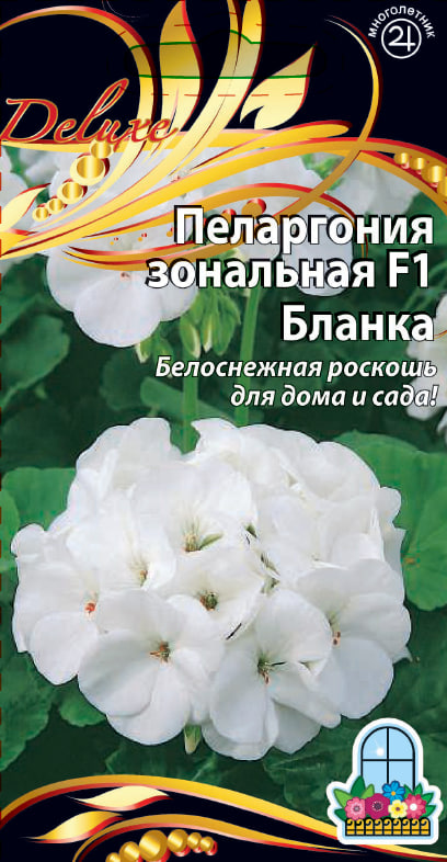 Пеларгония зональная F1 Бланка 5 шт АгроСемФонд