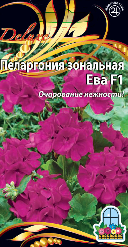 Пеларгония зональная F1 Ева 5 шт АгроСемФонд