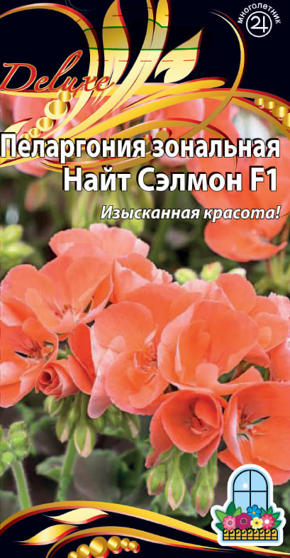 Пеларгония зональная F1 Найт Сэлмон 5 шт АгроСемФонд