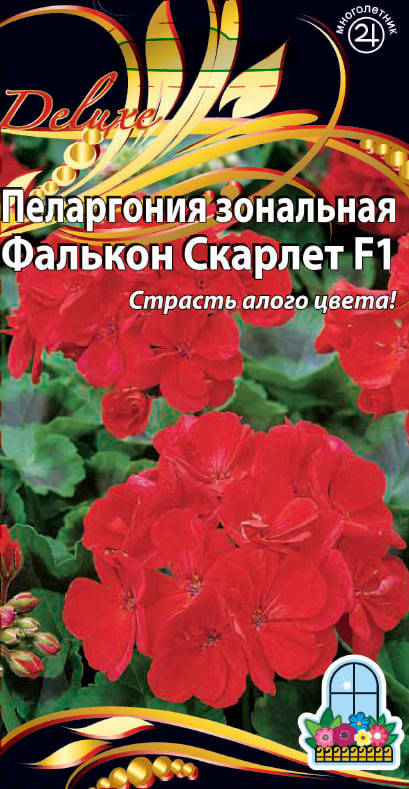Пеларгония зональная F1 Фалькон Скарлет 5 шт АгроСемФонд