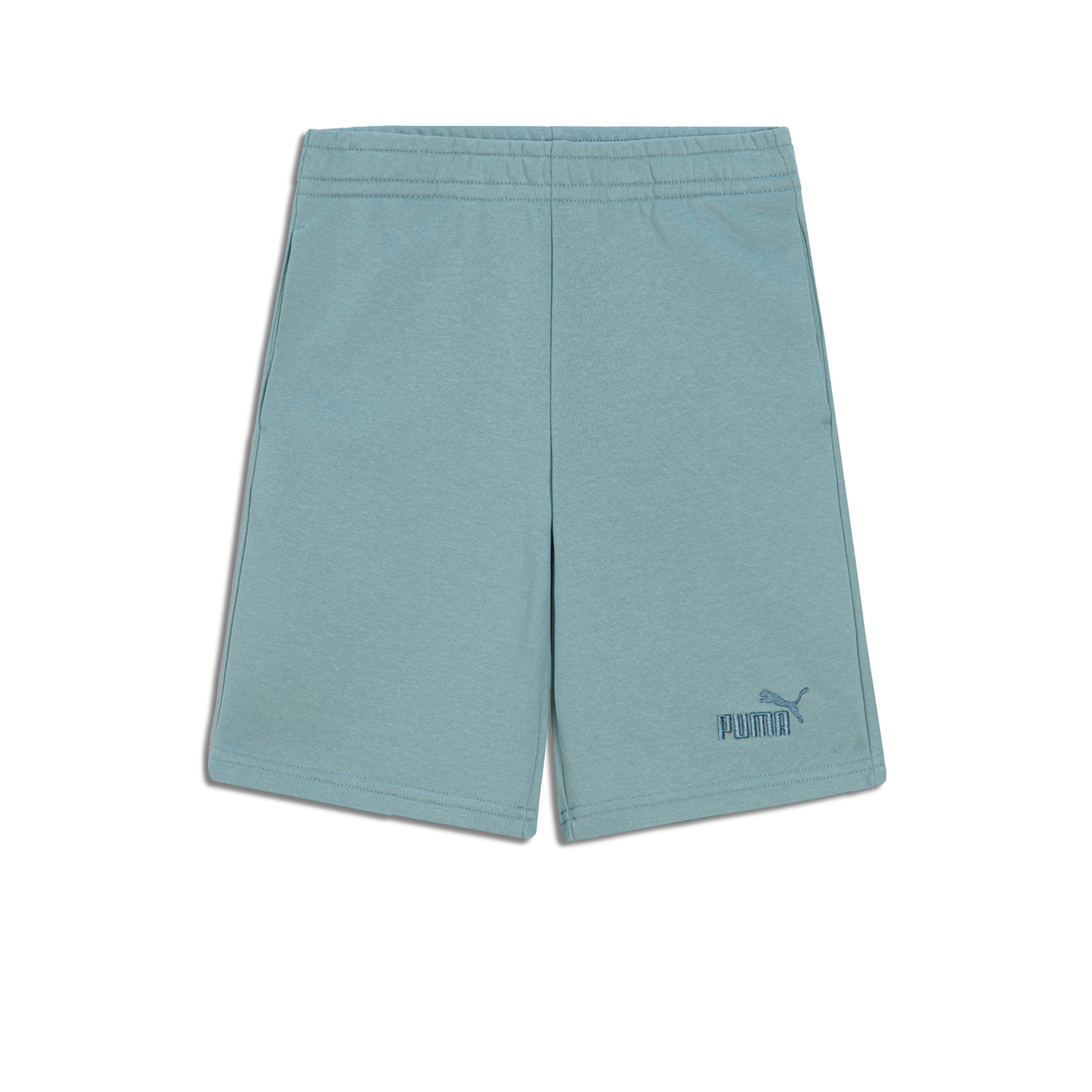 Подростковые шорты Essentials Small No.1 Logo Shorts PUMA 69297447-152