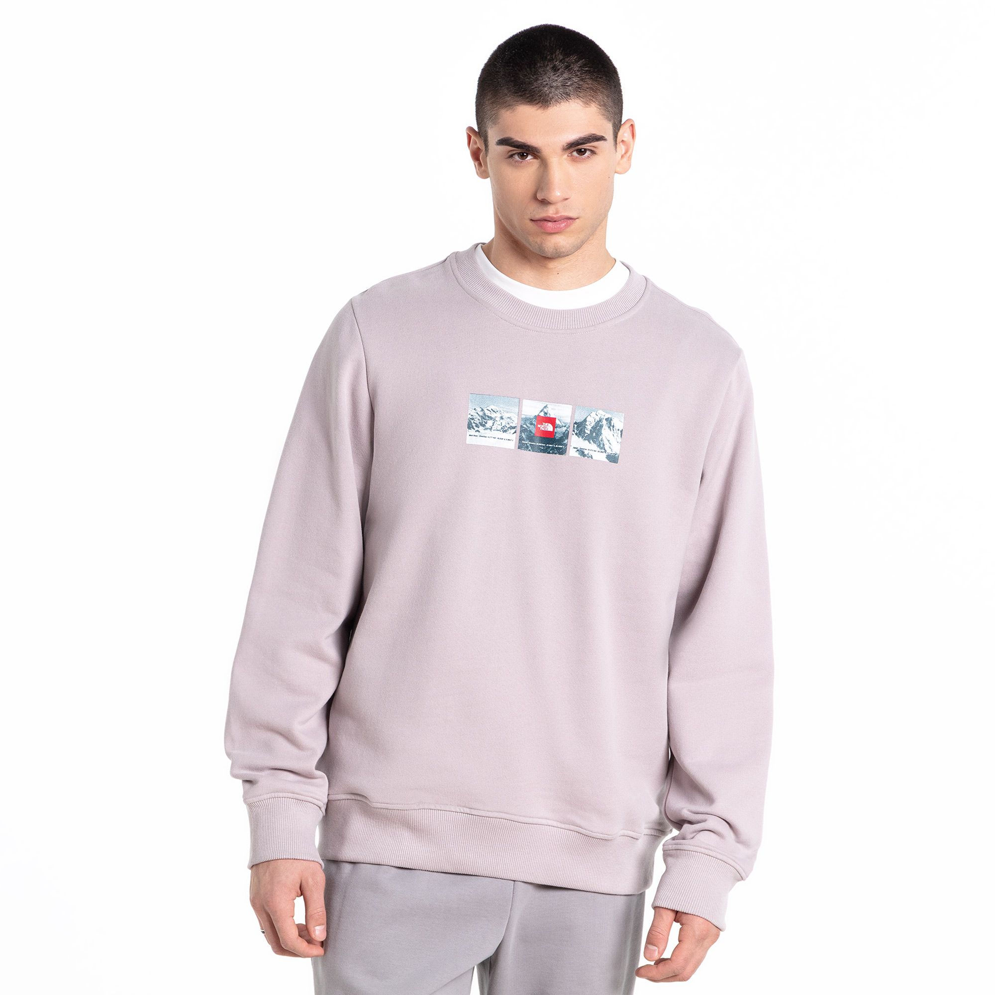 Мужской свитшот Expedition System Crew Moonstone Grey The North Face NF0A89DD1OA1-XXL