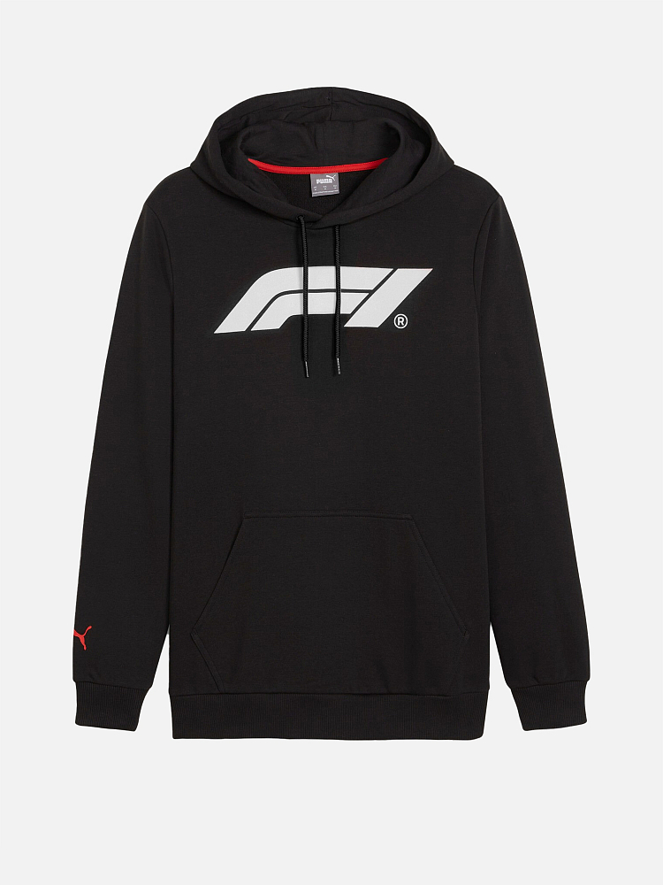 Мужская худи F1 Essentials Logo Hoodie PUMA 62585301-XXL