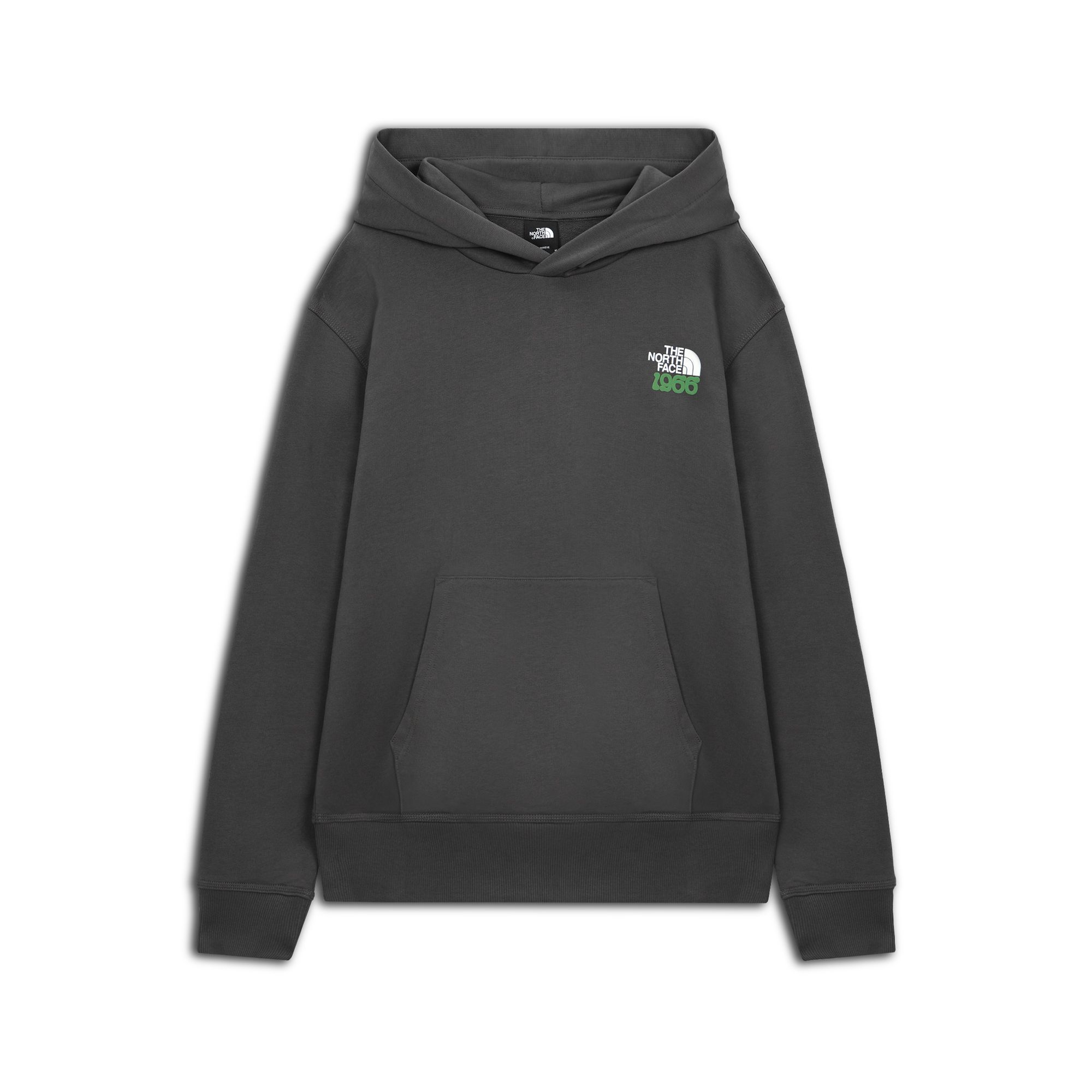 Худи 1966 Motion Relaxed Graphic Hoodie The North Face NF0A8GAJRHI1-XL