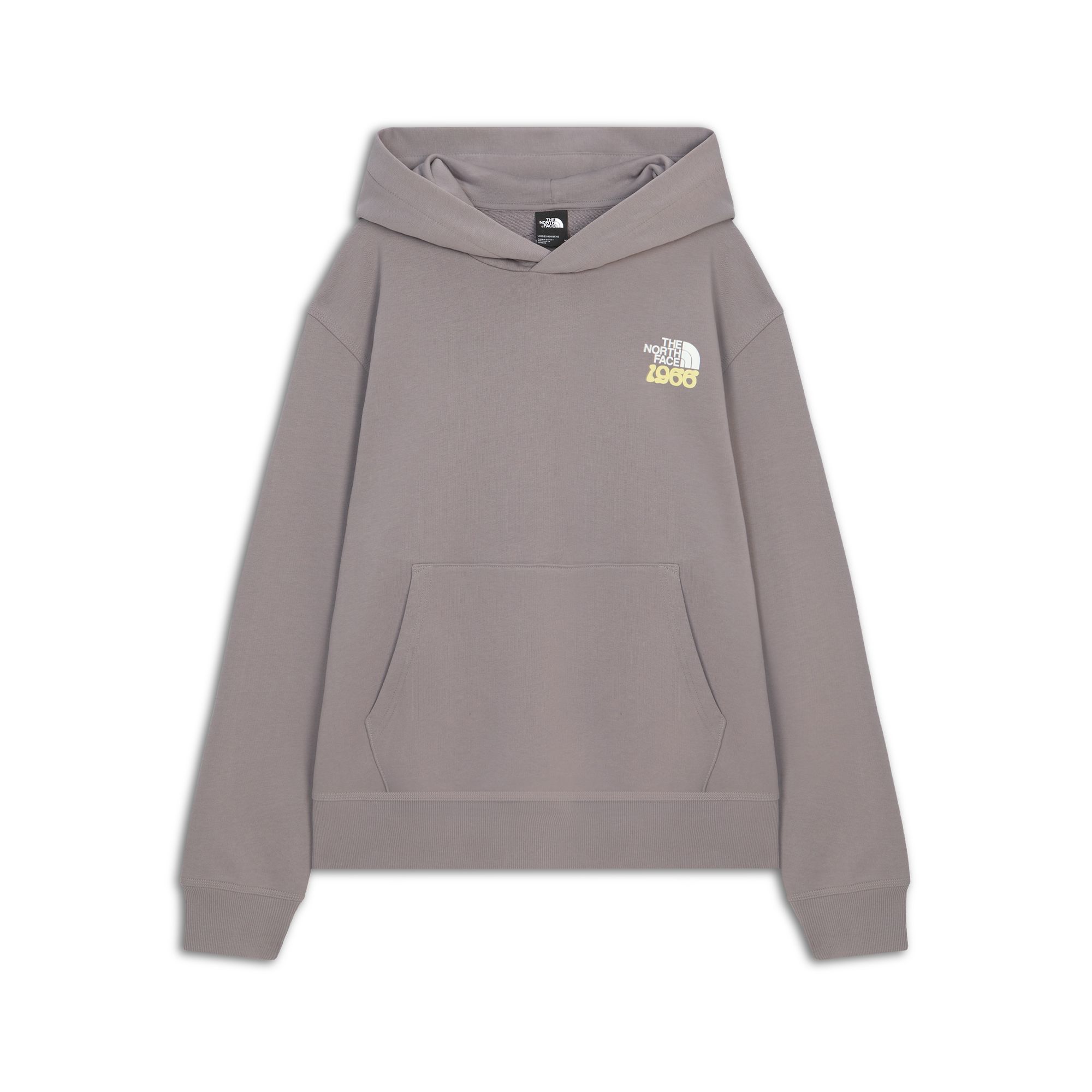 Худи 1966 Motion Relaxed Graphic Hoodie The North Face NF0A8GAJG7O1-S